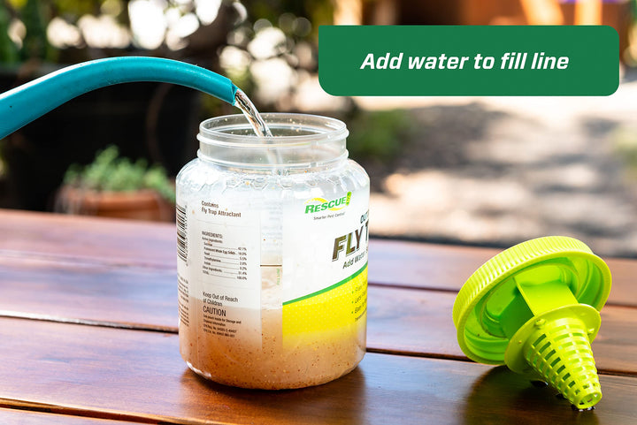 RESCUE! Outdoor Fly Trap, Reusable
