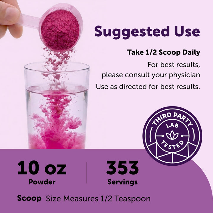 Micro Ingredients Organic Blueberry Extract Powder, 10 oz
