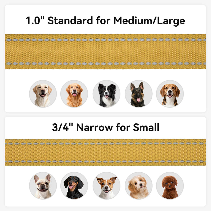 Joytale Dog Lead, Khaki, 1.8m x 2cm