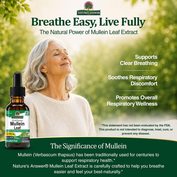 Nature's Answer Mullein Leaf Herbal Supplement, 1 fl oz