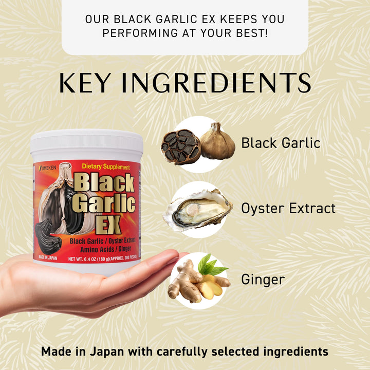 Umeken Black Garlic EX Fermented Concentrate, 6.4 oz