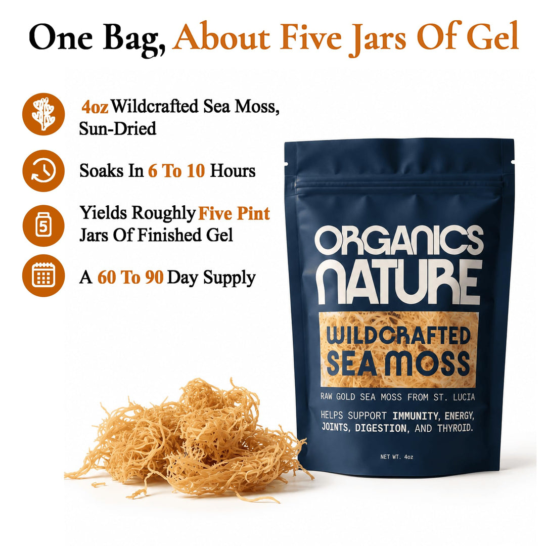 ORGANICS NATURE Raw Sea Moss, Sun Dried, 4 oz