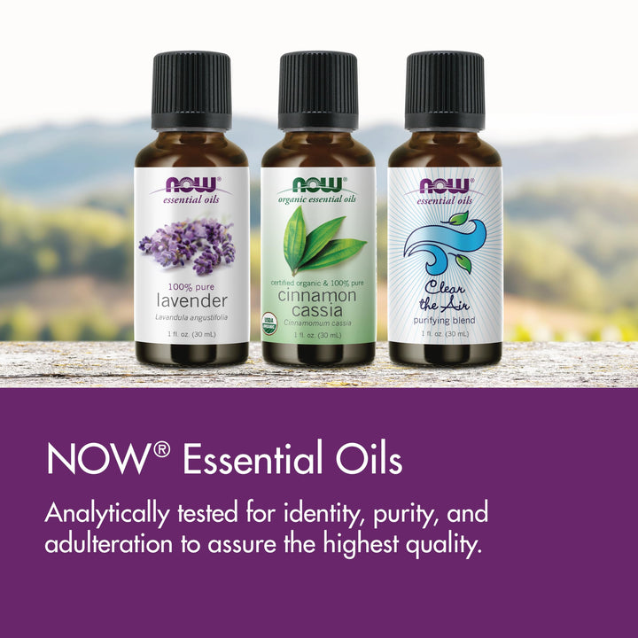 NOW Solutions Tea Tree Oil, 1 oz