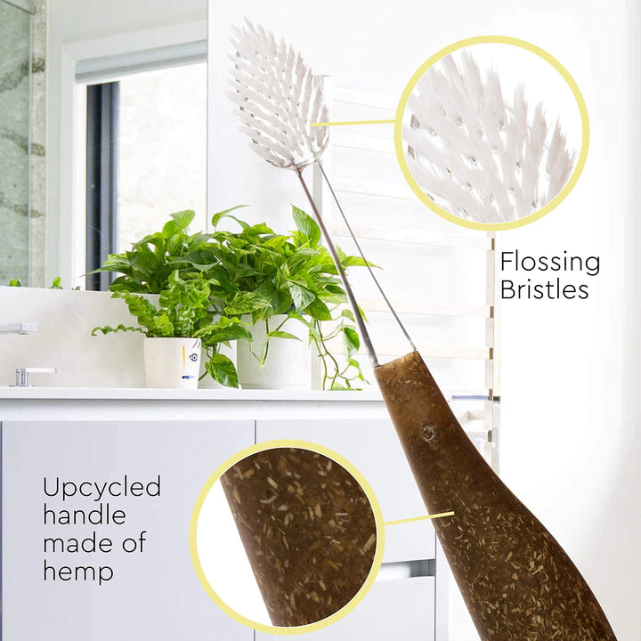 RADIUS Source Brush Toothbrush, Soft Bristles, Upcycled Wood Handle
