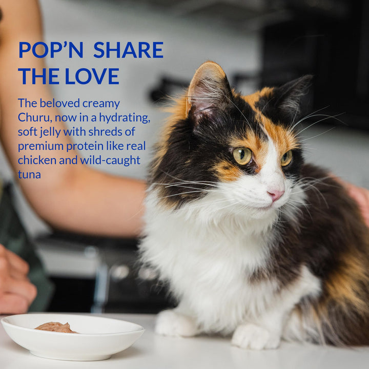 INABA Churu Pop'n Serve Lickable Cat Treats, Tuna Variety, 10 Count