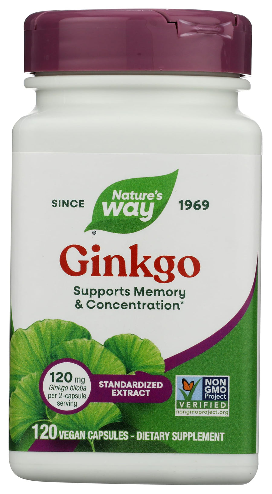 Nature's Way Ginkgo Premium Extract, 120 mg, 120 Count