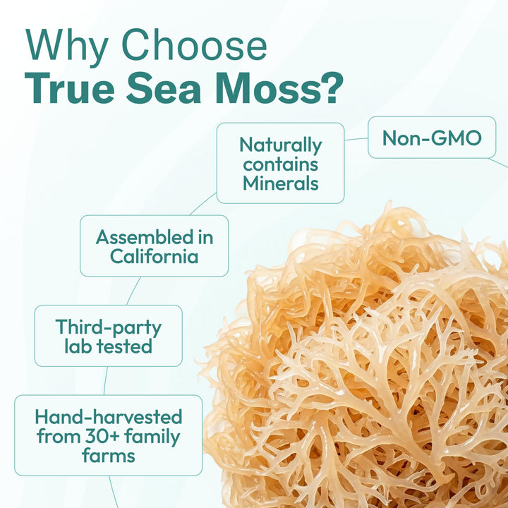 TrueSeaMoss Sea Moss Gel, Mango Pineapple, Pack of 1