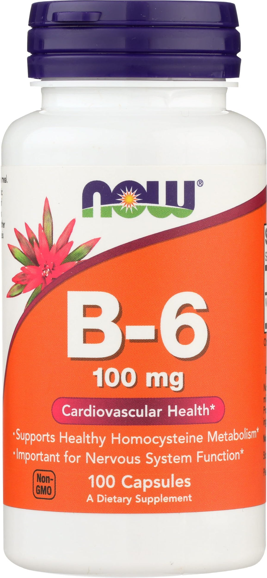 NOW Vitamin B6 100 mg, 100 Count