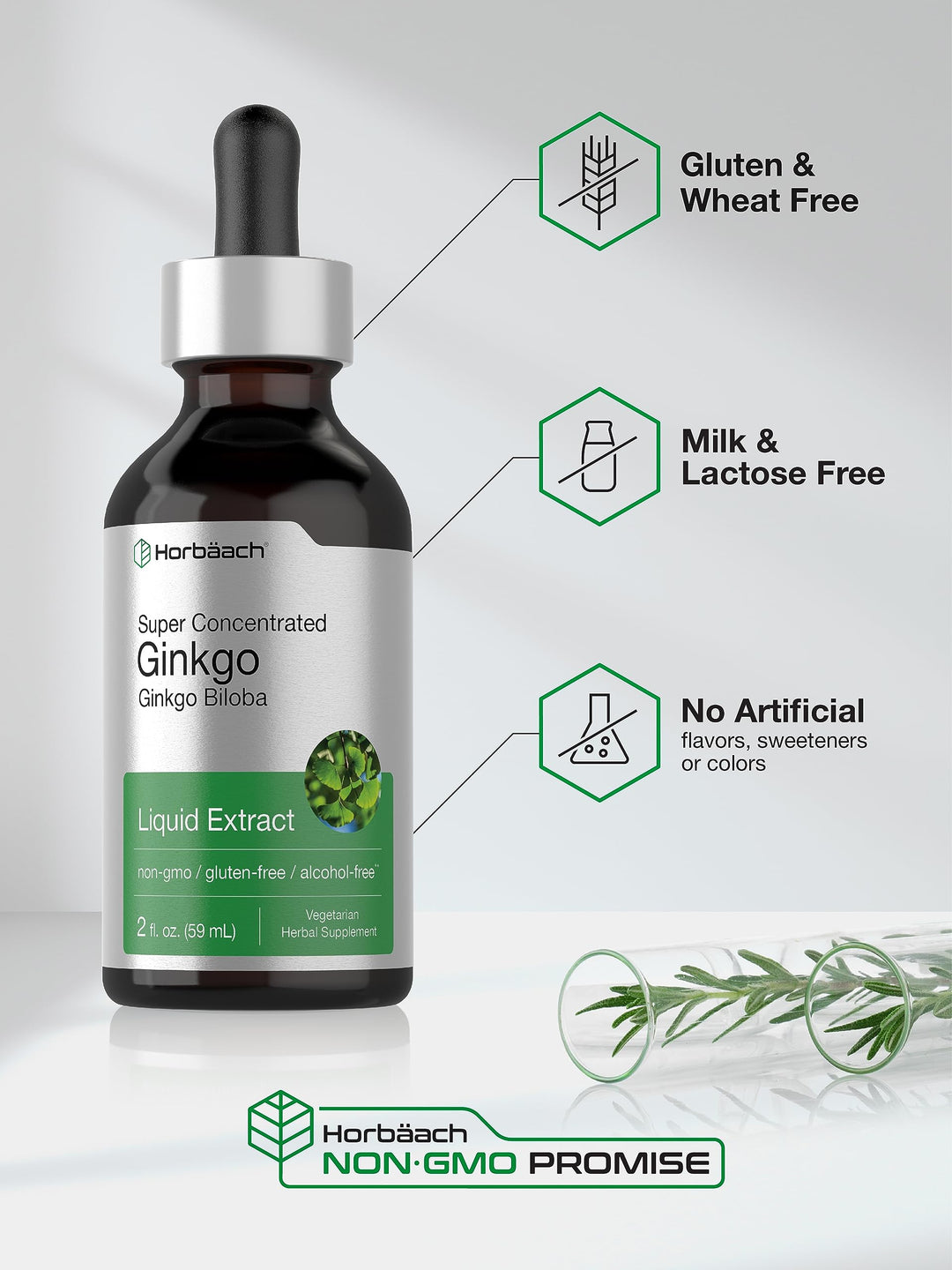 Horbäach Ginkgo Biloba Extract Liquid, 2 fl oz