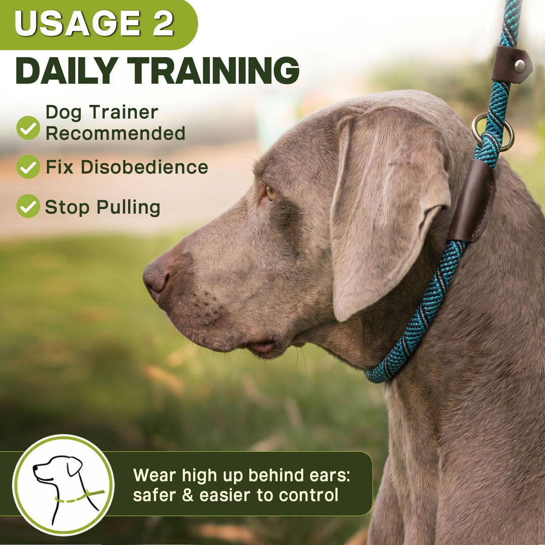 Fida Slip Lead Dog Leash, Blue, 6 ft x 3/8 in