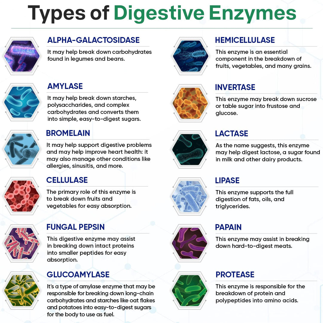 Wholesome Wellness Digestive Enzymes, 1000 mg, 180 Count