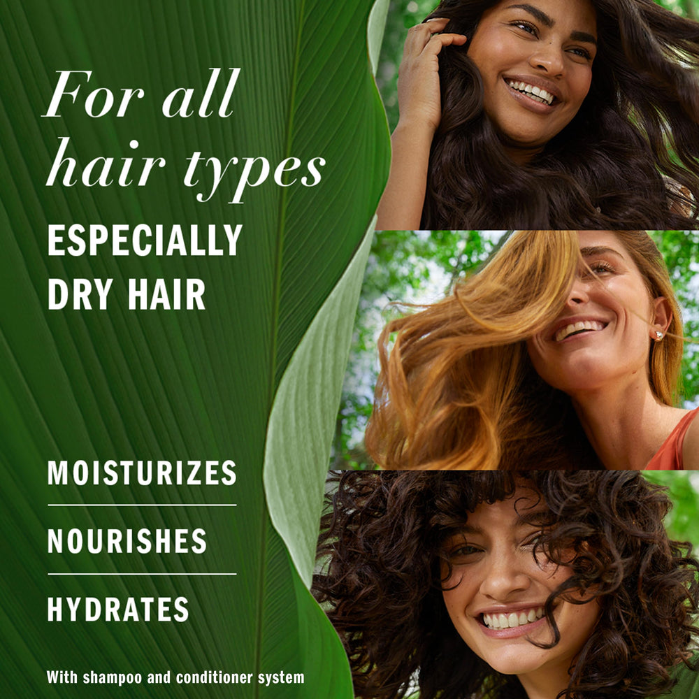Herbal Essences Coconut Milk Shampoo, 13.5 fl oz
