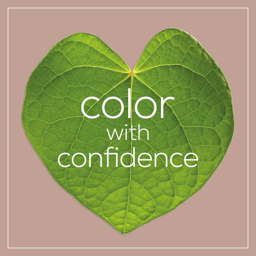 Naturtint Hair Color, 2N Brown Black