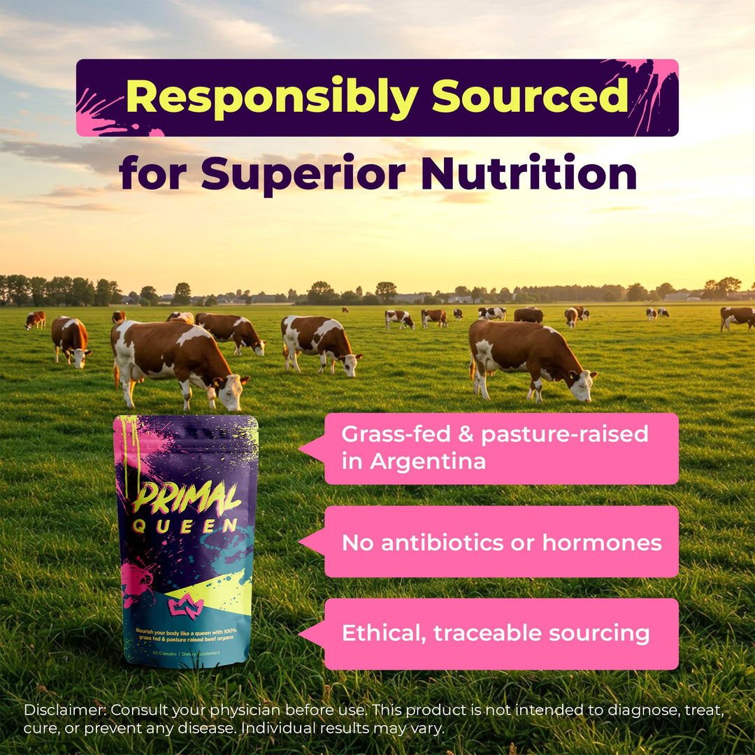 Primal Queen Beef Organ Supplement