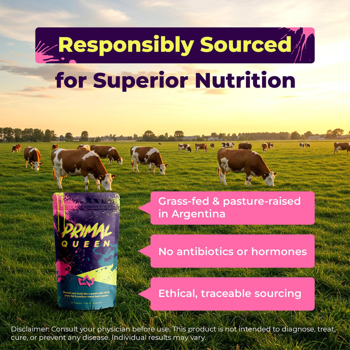 Primal Queen Beef Organ Supplement
