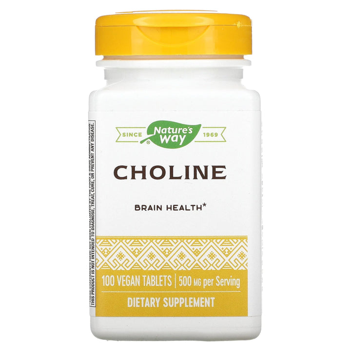 Nature's Way Choline, 500 mg, 100 Count