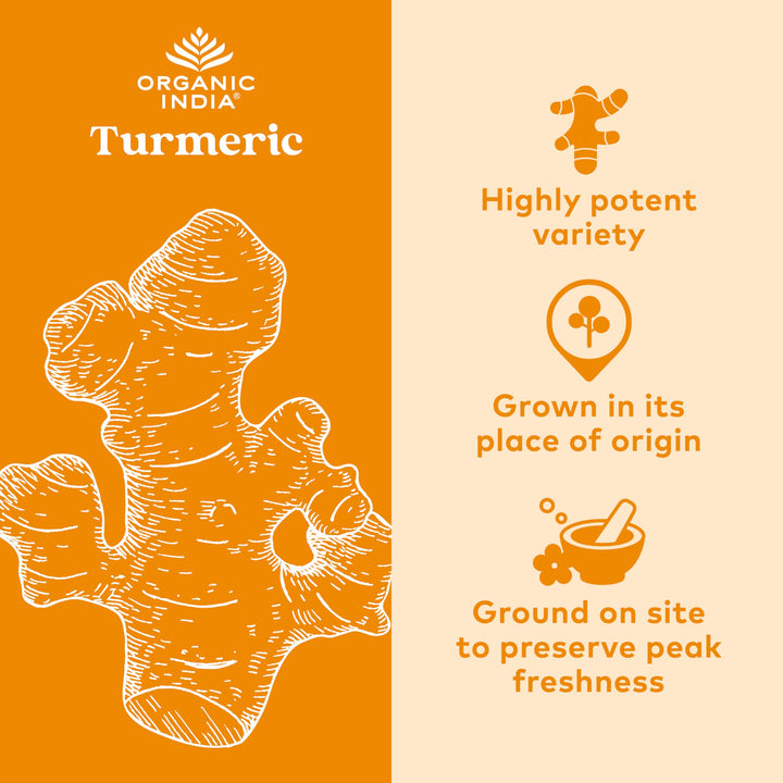 ORGANIC INDIA Turmeric Curcumin, 90 Count