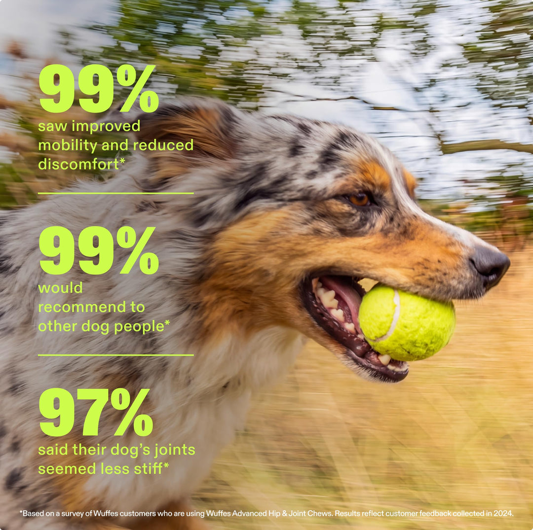Wuffes Advanced Hip & Joint Chews For Dogs, Small And Medium Breed, 60 Count