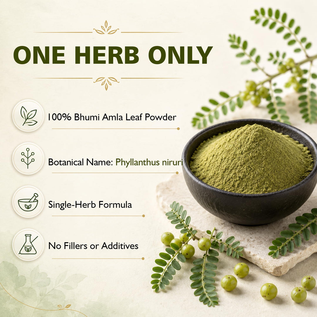 SVATV Bhumi Amla Powder, 227 g