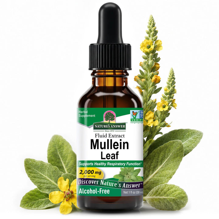 Nature's Answer Mullein Leaf Herbal Supplement, 1 fl oz