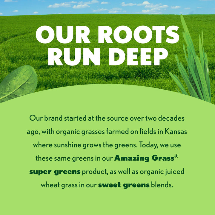 Amazing Grass Green Superfood Powder, Berry, 240 g