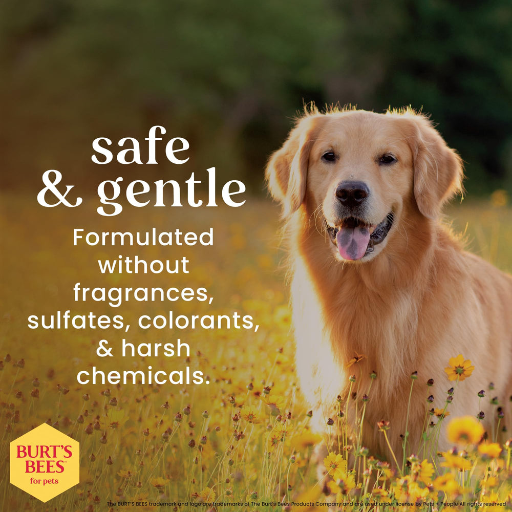 BURT'S BEES FOR PETS Dog Eye Wash Solution, 120 ml