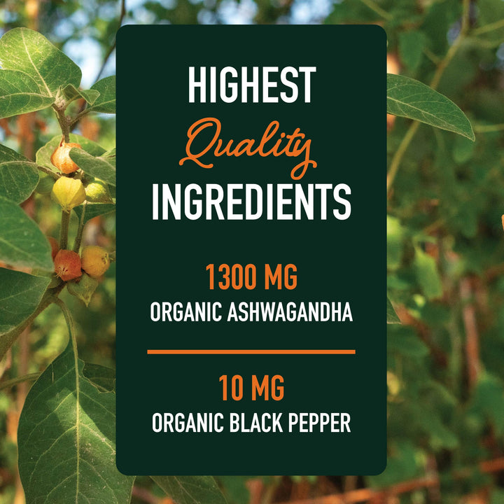 SMNutrition Ashwagandha Root Extract Supplement, 1300 mg, 120 Count