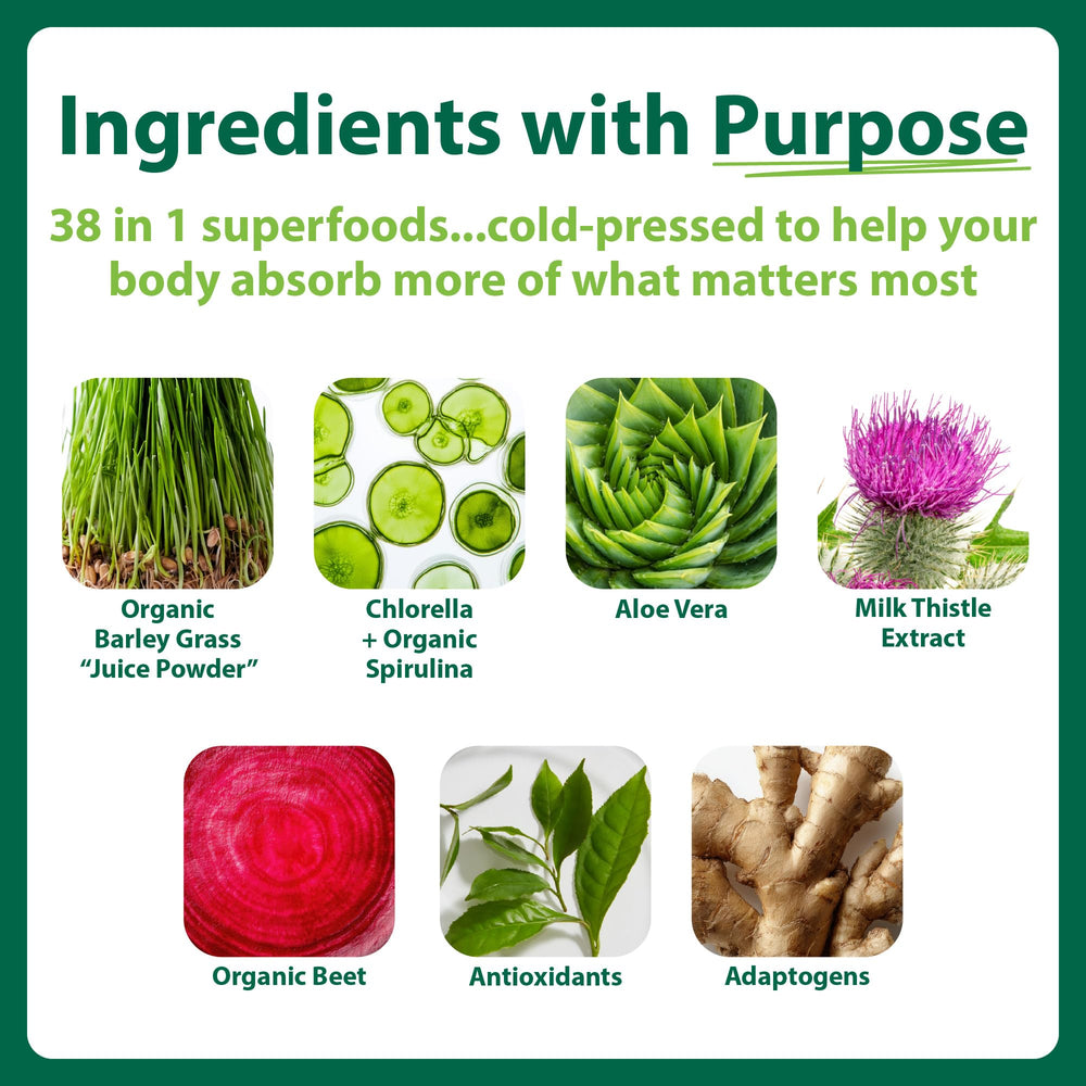MacroLife Naturals Macro Greens Powder, 12 Count