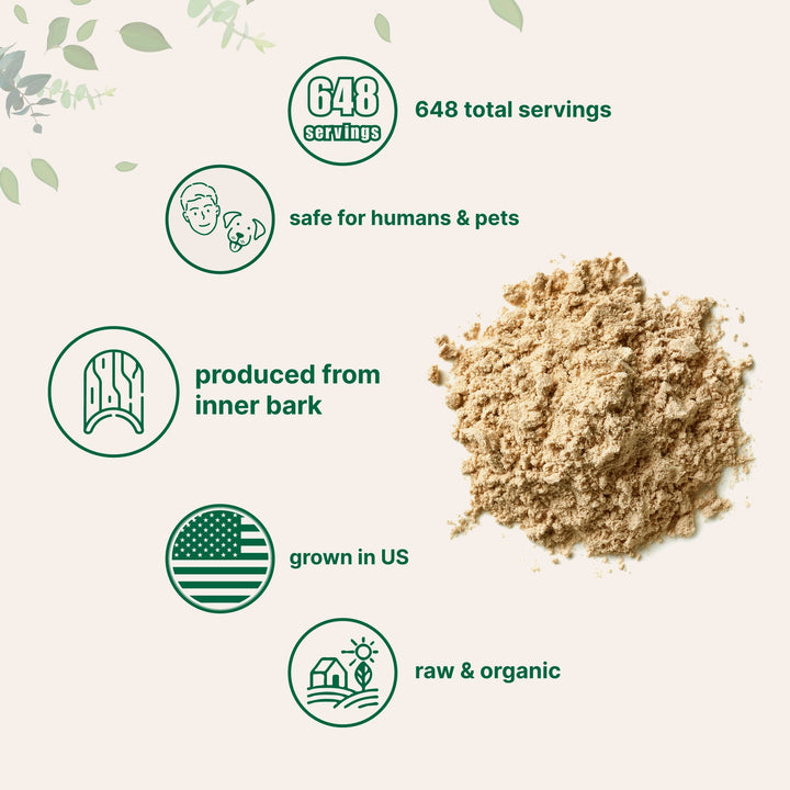 Micro Ingredients Slippery Elm Bark Powder, Organic, 1 lb