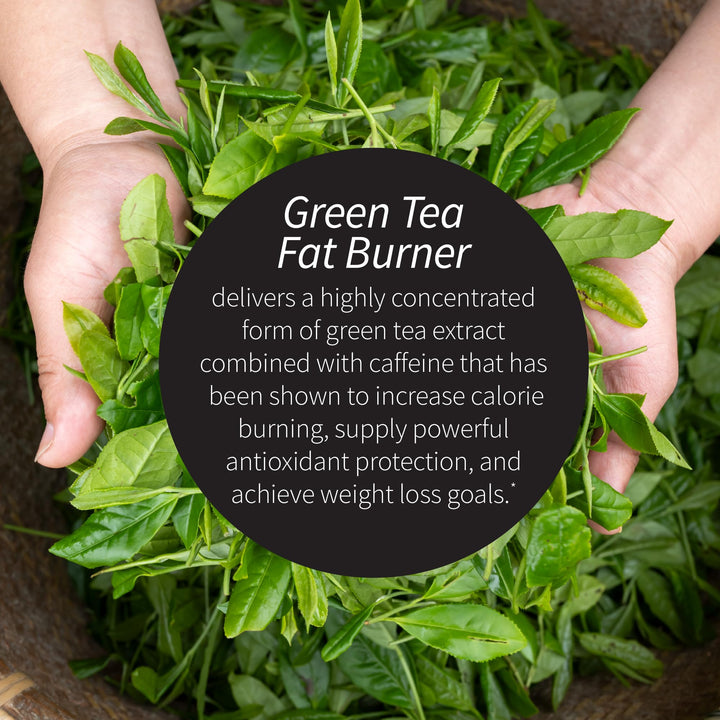 Irwin Naturals Green Tea Fat Burner, 30 Count