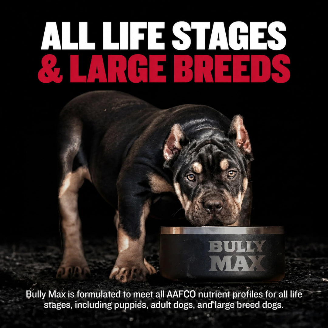 Bully Max Muscle Builder Chewable Tablets, 60 Count
