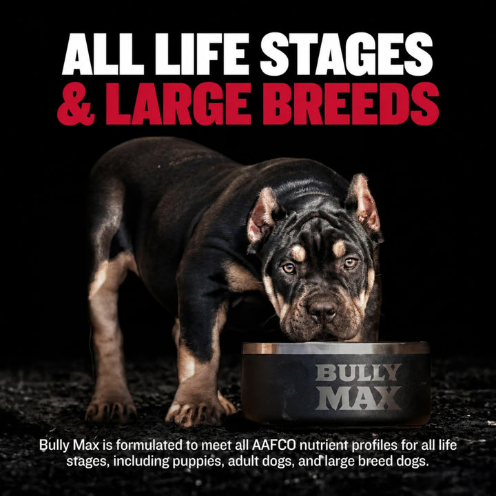 Bully Max Muscle Builder Chewable Tablets, 60 Count