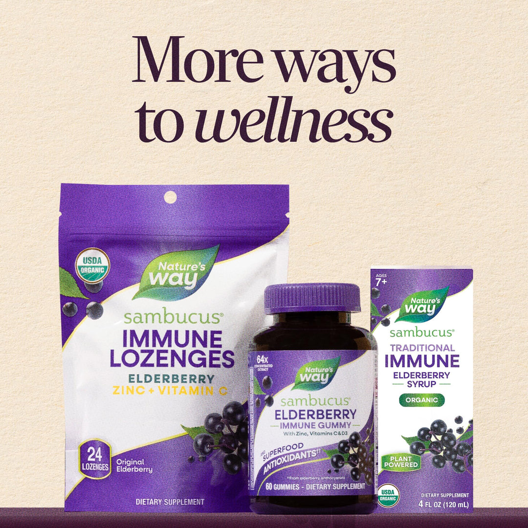 Nature's Way Sambucus Immune Lozenges, Elderberry Peppermint, 24 Count