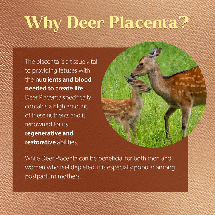 Dragon Herbs Deer Placenta, 500 mg, 60 Count