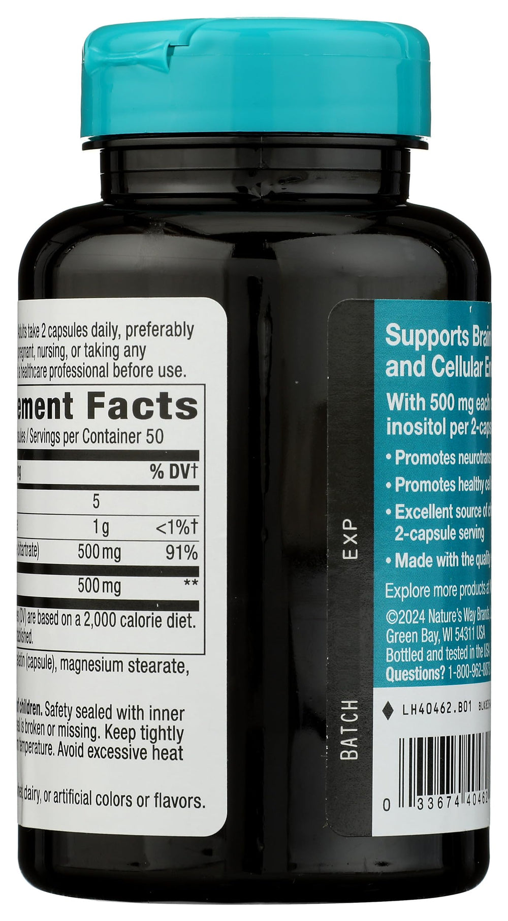 Nature's Way Choline-Inositol, 500 mg, 100 Count