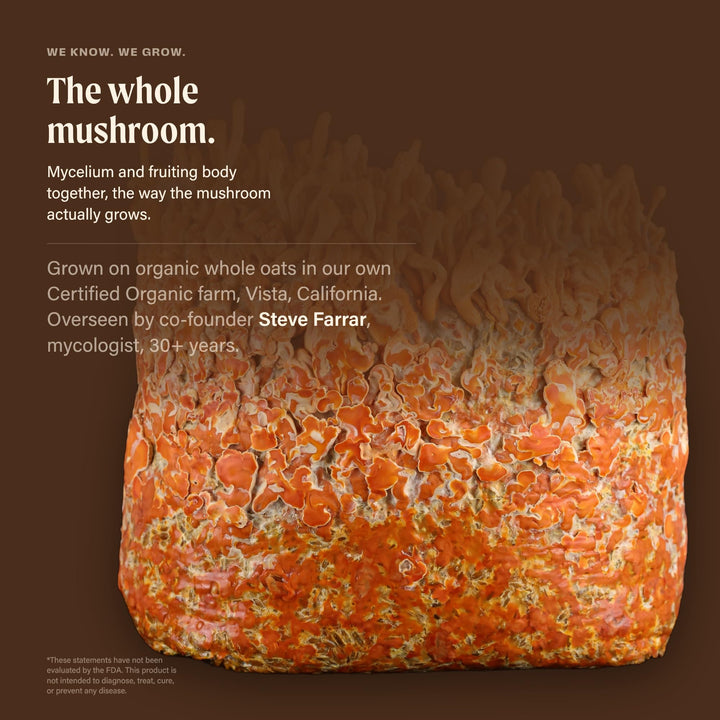 OM Mushroom Superfood Lion'S Mane Mushroom Capsules, 90 Count
