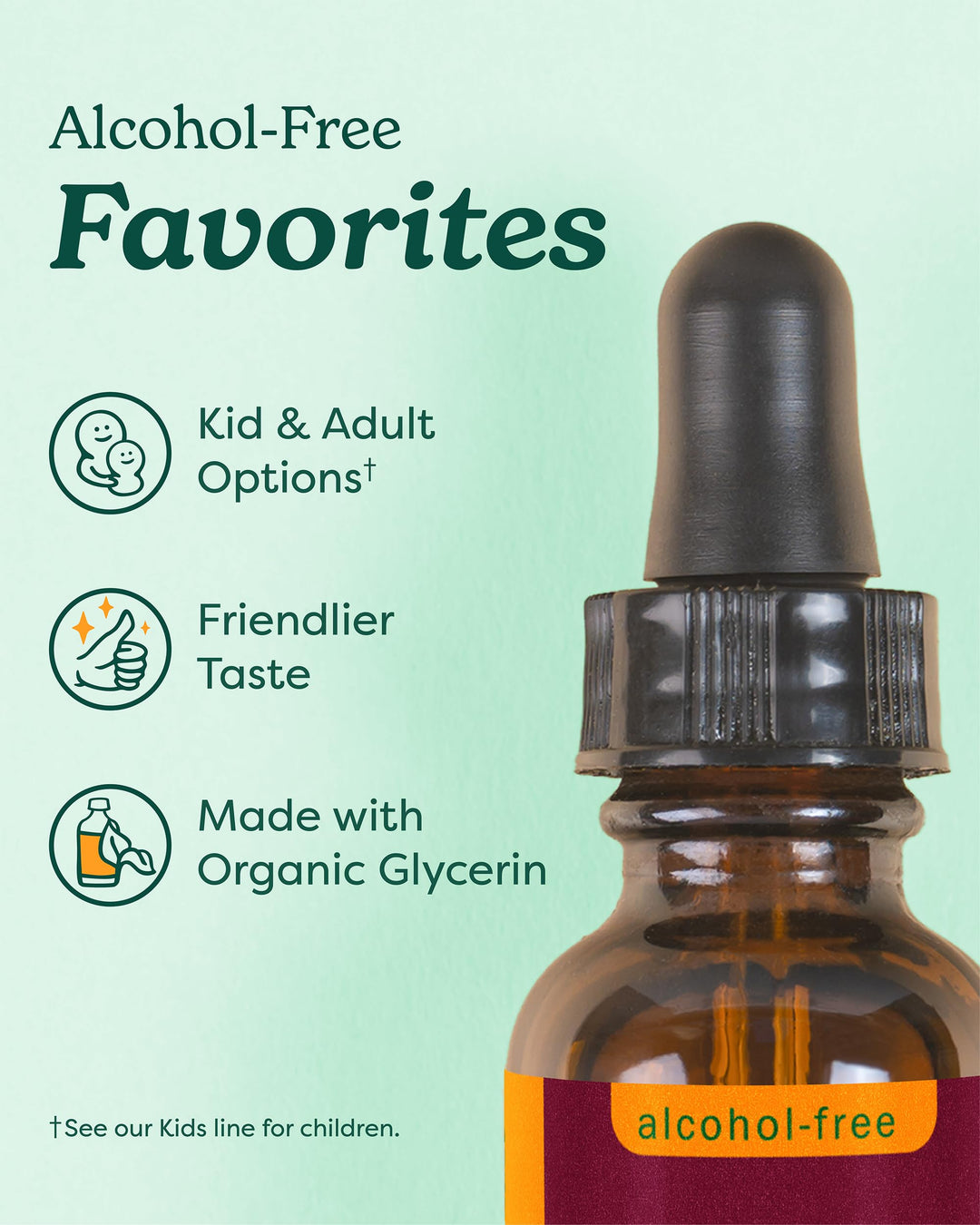 Herb Pharm Kids Immune Fortifier