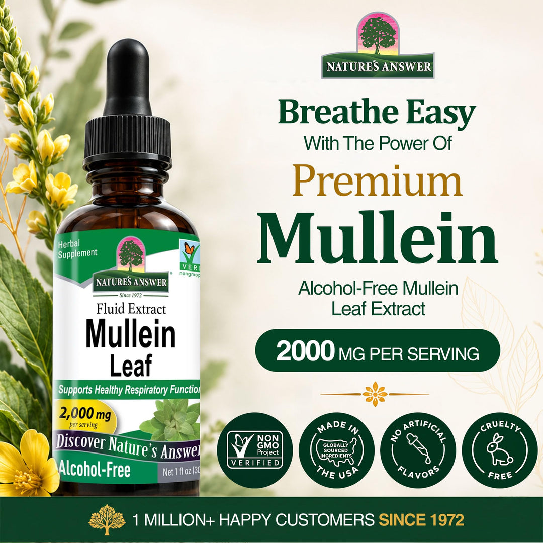 Nature's Answer Mullein Leaf Herbal Supplement, 1 fl oz