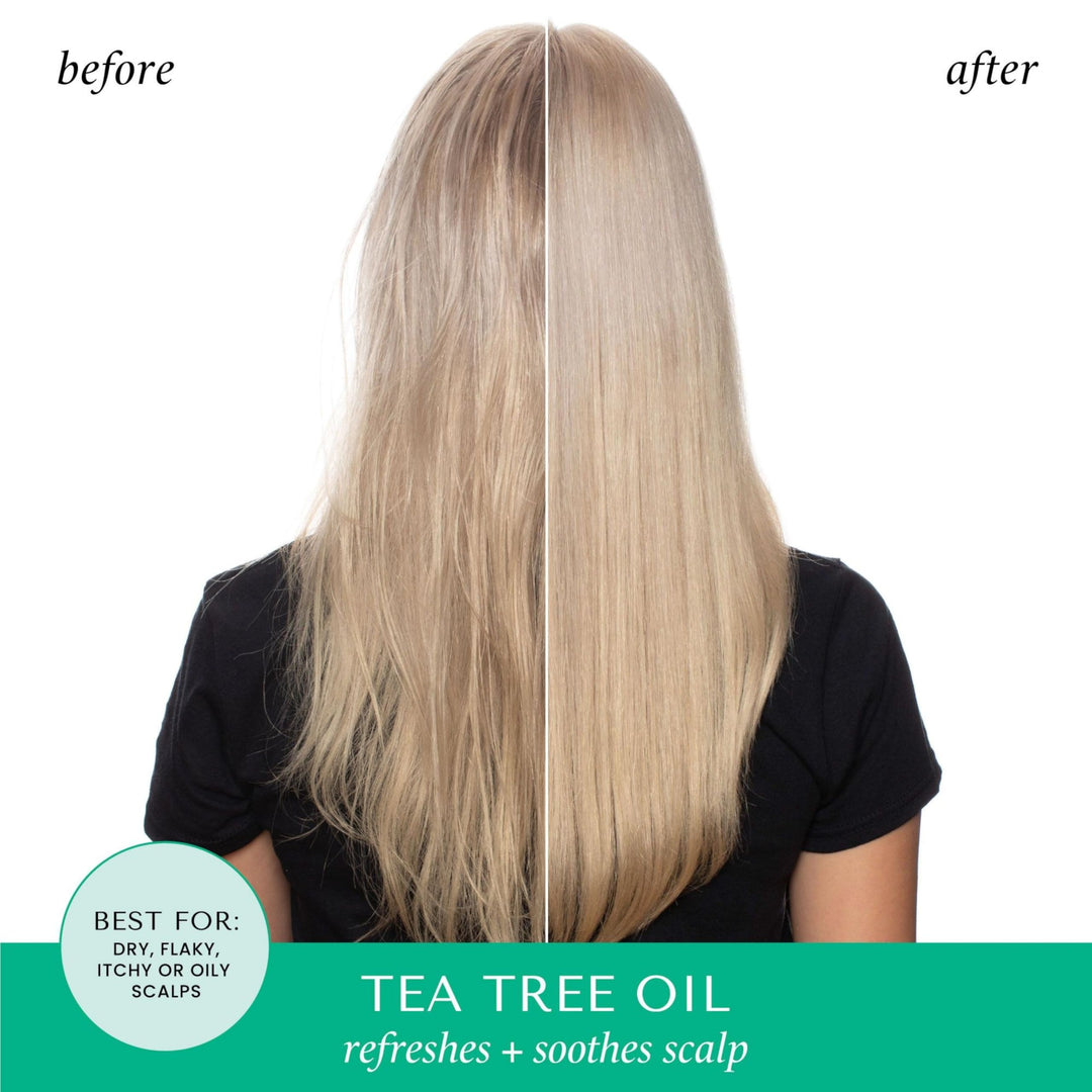 Hask Tea Tree Oil & Rosemary Shampoo, 355 ml