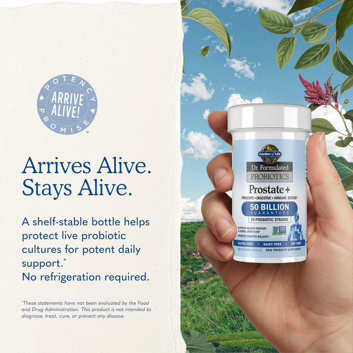 Garden of Life Dr. Formulated Probiotics Prostate+, 60 Count