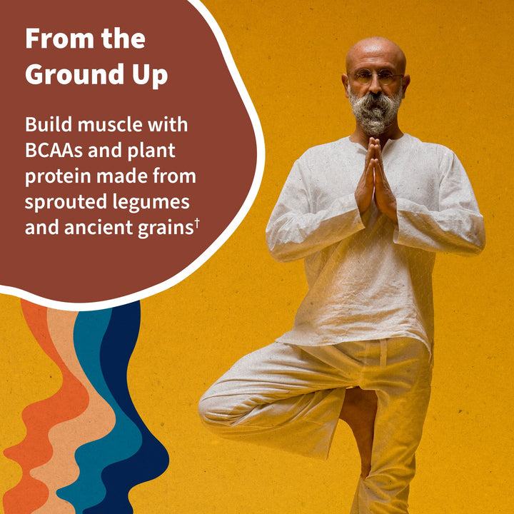 Garden of Life Organic Vegan Protein Powder, Vanilla Chai, 1.2 lb
