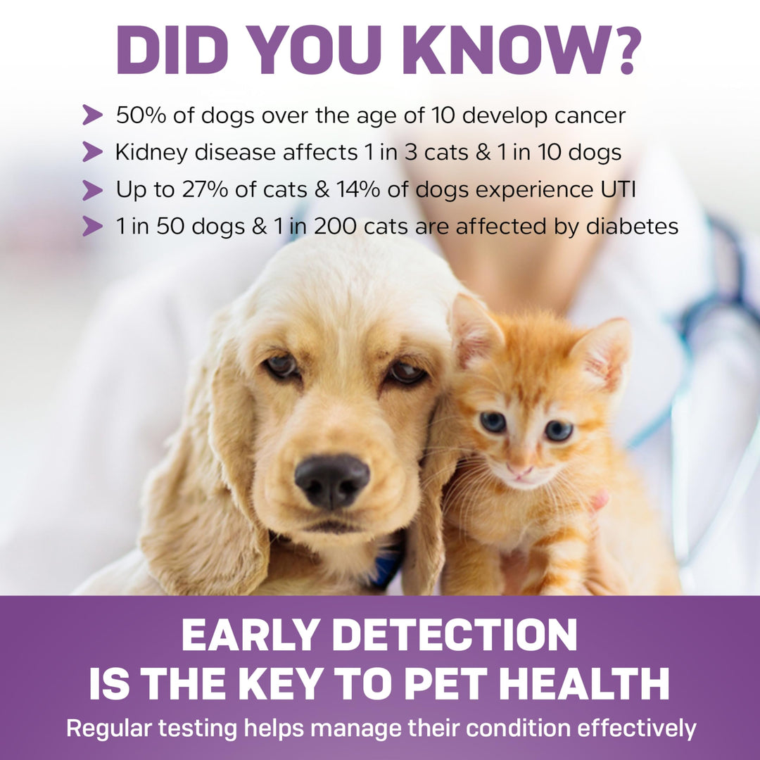 One Step Pet Urine Testing Strips, 50 Count