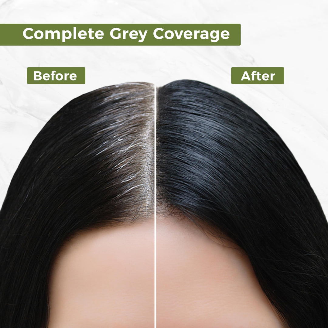 INDUS VALLEY Natural Organic Damage Free Permanent Gel Hair Color, Dark Brown 3.0, 20 g, 200 ml