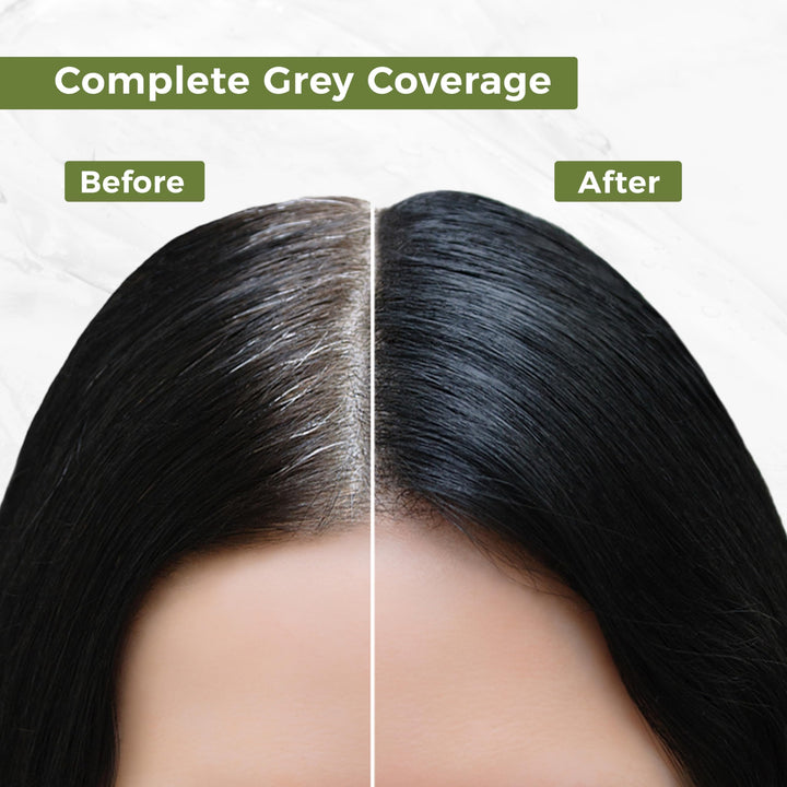 INDUS VALLEY Natural Organic Damage Free Permanent Gel Hair Color, Dark Brown 3.0, 20 g, 200 ml
