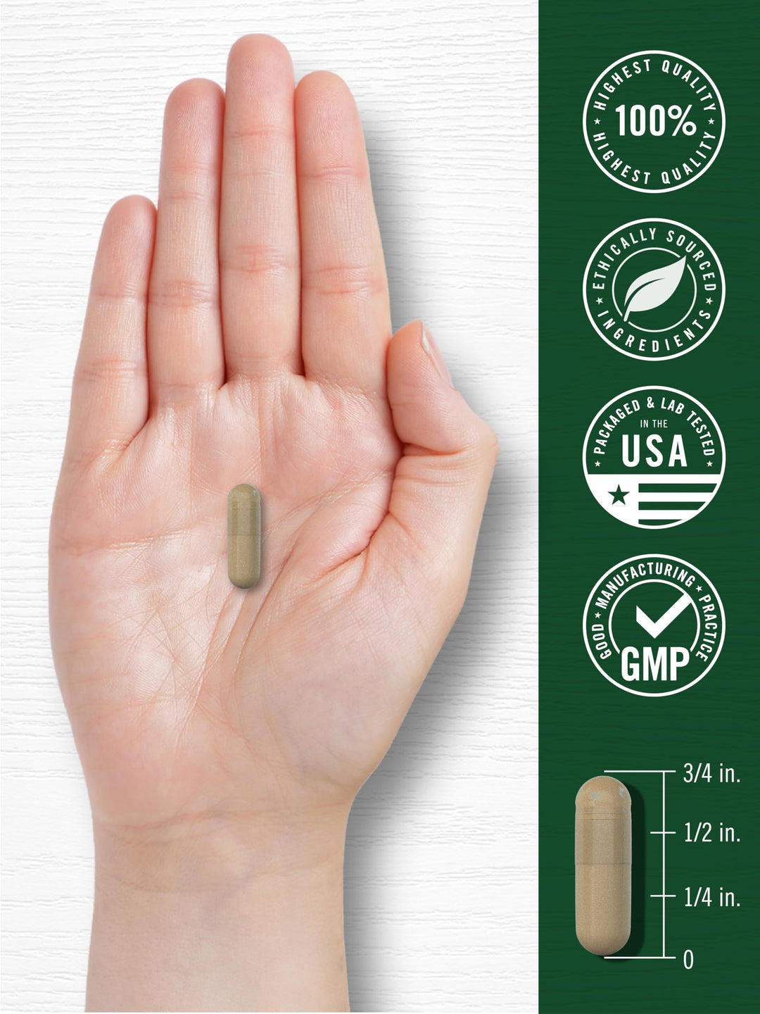 Carlyle Gotu Kola Capsules, 180 Count