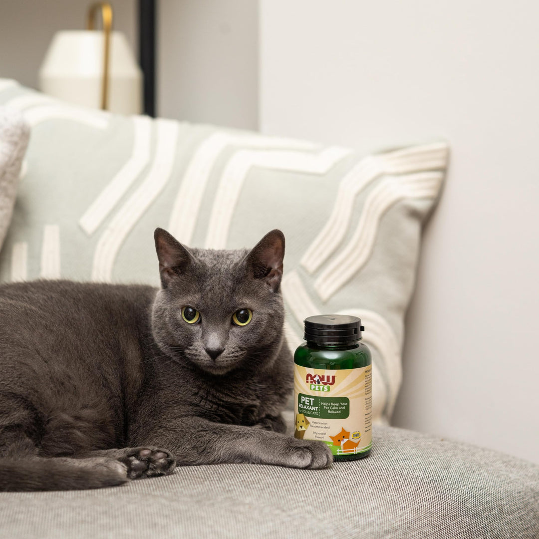 NOW Pet Relaxant Supplement, 90 Count