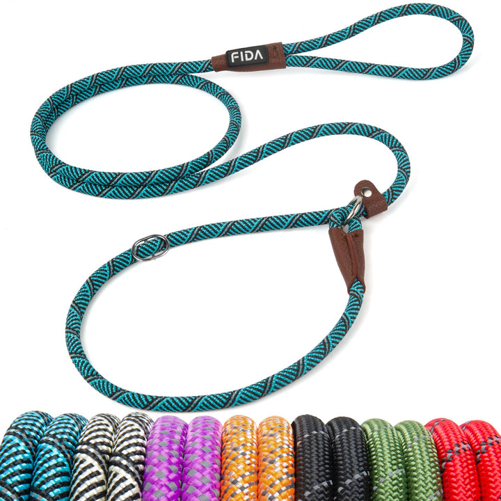 Fida Slip Lead Dog Leash, Blue, 6 ft x 3/8 in