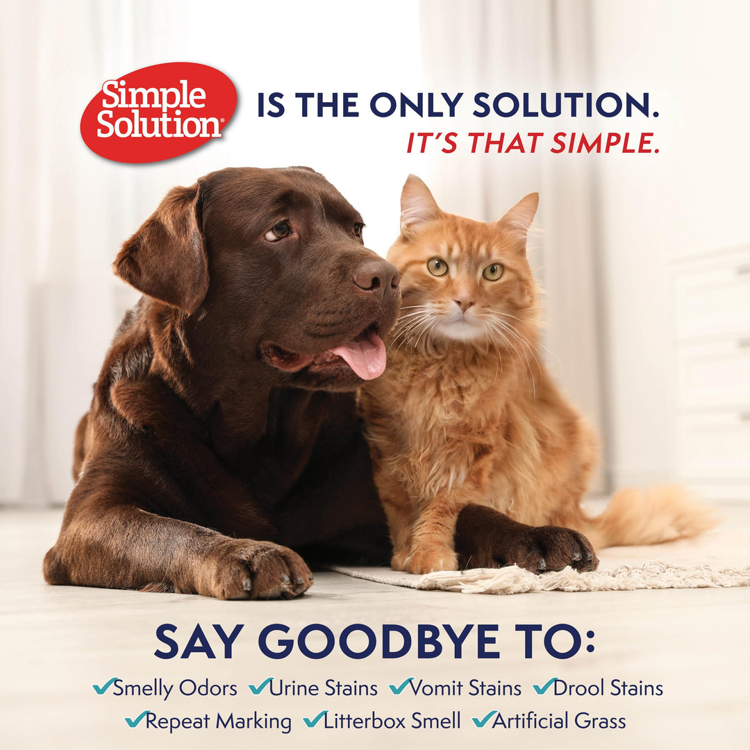 Simple Solution Extreme Stain And Odor Remover, 32 oz