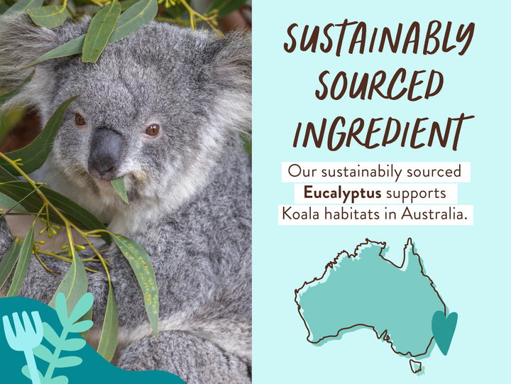 Babo Botanicals Eucalyptus Remedy 2-in-1 Bubble Bath And Wash, Eucalyptus Rosemary Peppermint