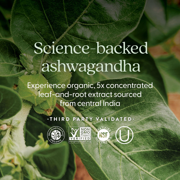 New Chapter Organic Ashwagandha Supplement, 60 Count